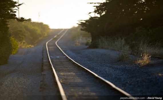 Wilder Ranch Tracks