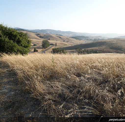 Helen Putnam Regional Park