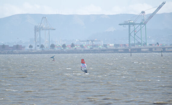 Windsurfers